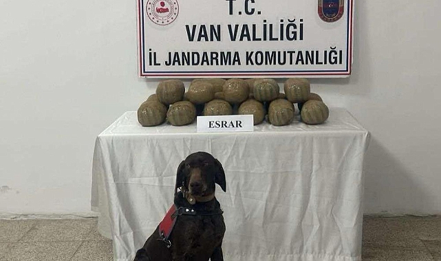 Van'da 50 kişi yakalandı