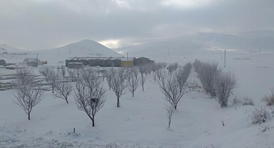 Van'da ağaçlar kırağı tuttu: Kartpostal görüntüler ortaya çıktı
