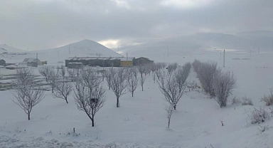 Van'da ağaçlar kırağı tuttu: Kartpostal görüntüler ortaya çıktı