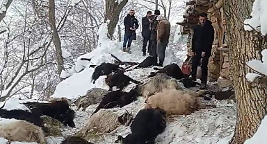 Van'da ağılda yangın: 40 keçi telef oldu