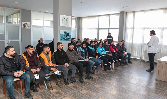 Van'da Belediyeler sokak hayvanları için istişare toplantısı gerçekleştirdi