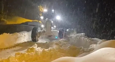 Van'da beyaz örtü 53 yerleşim yerinin yolunu ulaşıma kapattı