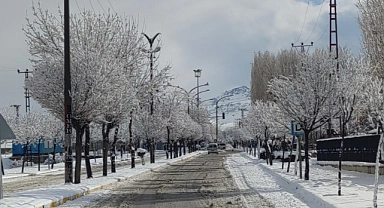 Van'da kar yağışı kartpostallık görüntüler oluşturdu