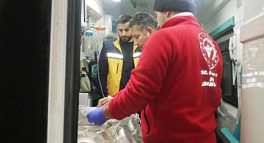 Van'da karaciğer yetmezliği olan 3 aylık bebek için ambulans uçak havalandı