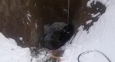 Van'da kuyuya düşen köpeğin yardımın itfaiye ekipleri yetişti