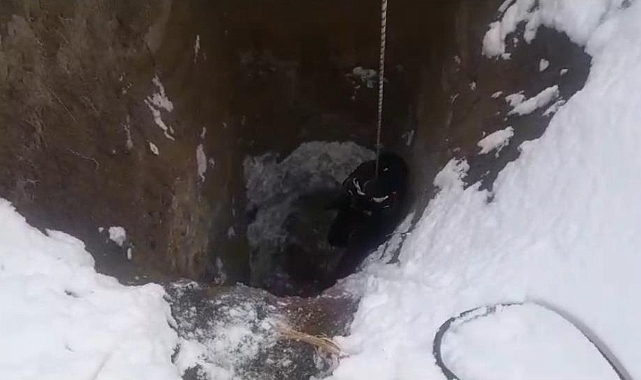 Van'da kuyuya düşen köpeğin yardımın itfaiye ekipleri yetişti