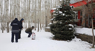 Van'da sokak hayvanları için belirli noktalara mama bırakıldı