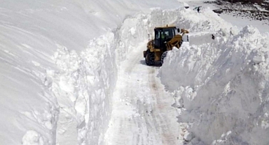 Van ve Bitlis'te kar nedeniyle 124 yerleşim yeri ulaşıma kapandı