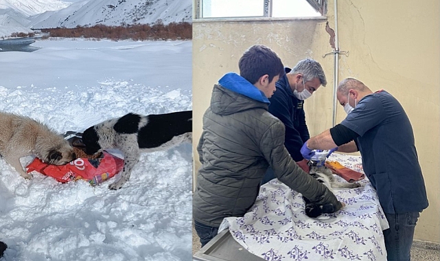 Yiyecek bulamayan can dostlar için 15 mahalleye yiyecek bırakıldı