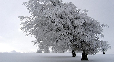 2024 yılı Türkiye geneli Kar yağışları Yeterli Mi? Şubat Ayında Kar Yağışı Devam Edecek Mi? Elnino Kışı Mı Yaşanıyor?