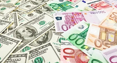 Ağrı da 3 Şubat 2024 tarihinde 1 dolar kaç tl? Güncel Döviz Kuru Ne Kadar Oldu?