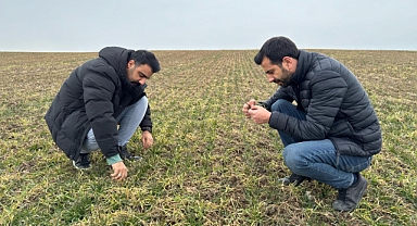 Ağrı'da “Gıda Kayıpları ve İsraf" konularında eğitim verildi