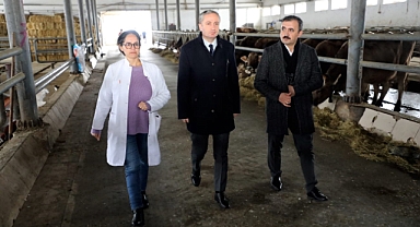 Ağrı'da tarım ve hayvancılık iş birliği