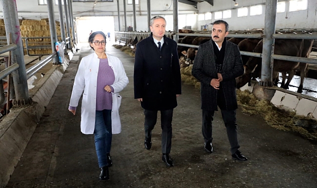 Ağrı'da tarım ve hayvancılık iş birliği