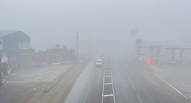 Ağrı'da yoğun sis ve don meydana geldi