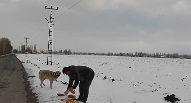 Ağrılı mimar ailesiyle beraber zorlu kış şartlarında sokak hayvanlarına sahip çıkıyor (Videolu Haber)