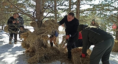 Ardahan'da çetin kış aylarında yiyecek bulamayan yabani hayvanlar unutulmadı