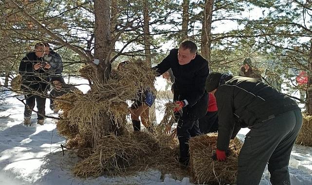 Ardahan'da çetin kış aylarında yiyecek bulamayan yabani hayvanlar unutulmadı