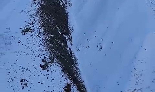 Bingöl'deki çığda kayıp şahsı arama çalışmaları devam ediyor
