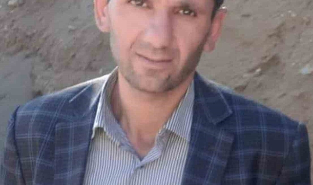 Bitlis'te üzerine ağaç devrilen adam hayatını kaybetti