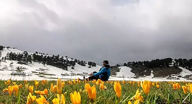 Cemre Nedir ve Ne Zaman Düşer? Baharın Müjdeleyicisi Cemre Nedir?