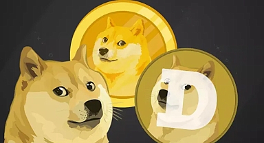 Dogecoin’un Yükselişi: Eğlence mi, Yoksa Ciddi Bir Yatırım Araç mı?