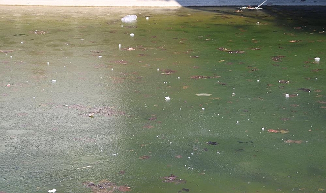 Elazığ buz kesti, süs havuzları dondu