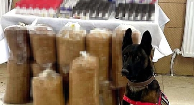 Elazığ'da jandarma ekipleri kaçakçılara göz açtırmıyor: 1 gözaltı