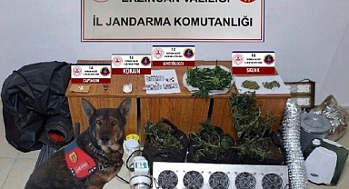 Erzincan'da adeta mühimmat ele geçirildi: Bin 96 adet kaleşnikof mermisi ve 3 adet şarjör ele geçirildi