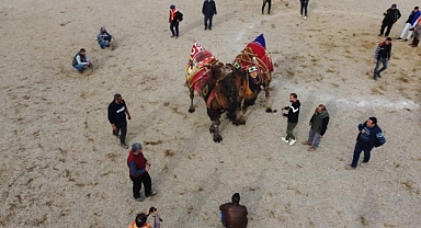 Erzincan'da yaşanan toprak kayması nedeniyle deve güreşi festivalinin iptal edildi