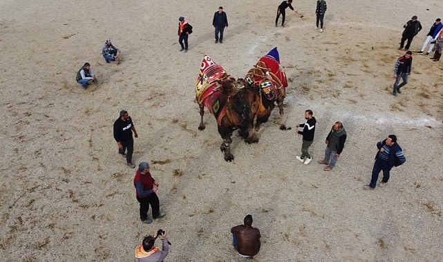Erzincan'da yaşanan toprak kayması nedeniyle deve güreşi festivalinin iptal edildi