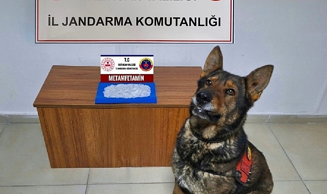 Erzincan'da jandarmadan uyuşturucu operasyonu: 1 tutuklama