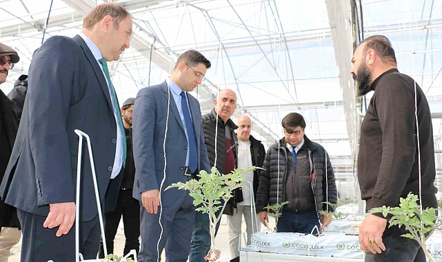 Erzincan'da jeotermal ısıtmalı topraksız serada ilk fideler dikildi