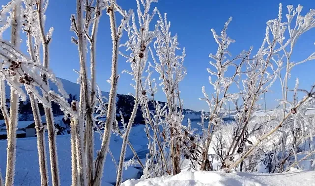 Erzurum, Kars, Ardahan, Ağrı ve Tunceli… kar yağışı ve soğuk hava hayatı olumsuz etkiliyor
