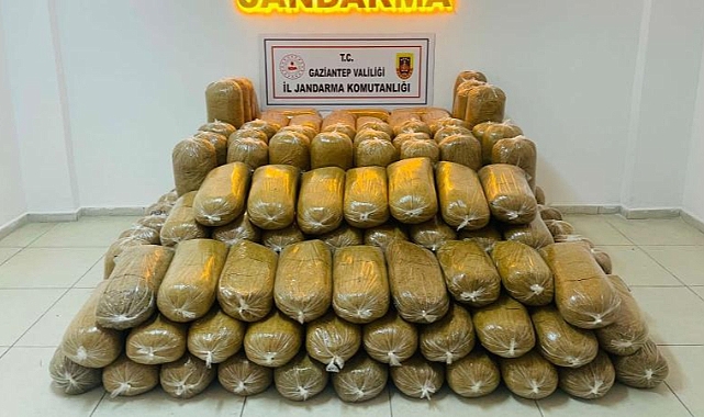 Gaziantep’te 2 ton kaçak tütün ele geçirildi