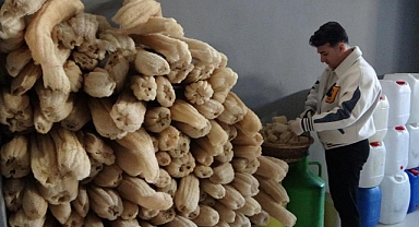 Genç girişimci, kabak lifli sabunla dünya pazarına girmeyi hedefliyor