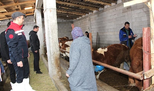 Hayvan aşılama çalışmaları sız kesmeden devam ediyor