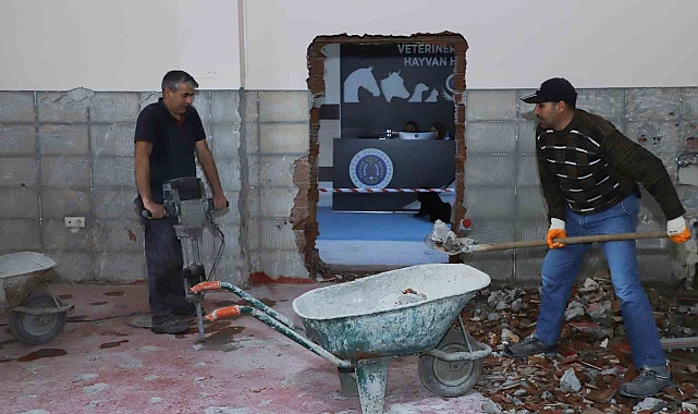 Hayvan hastanesinde yapım onarım çalışmaları sürüyor