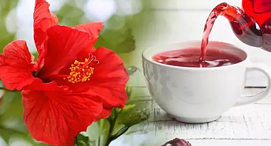 Hibiskus Nasıl Tüketilmeli!