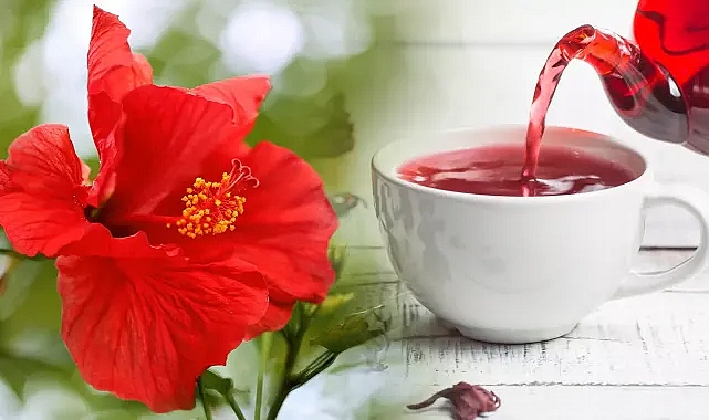 Hibiskus Nasıl Tüketilmeli!