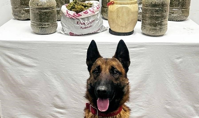 Hizan'da 11 kilo 450 gram skunk maddesi ele geçirildi