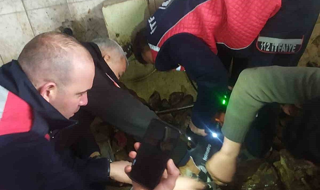 Iğdır'da mezbahada işçi kolunu makineye kaptırdı