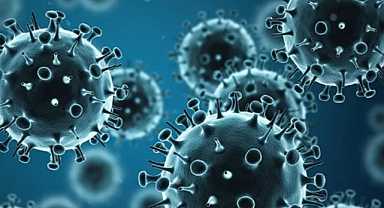 İnfluenza Nedir? İnfluenza belirtileri nelerdir?