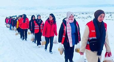 Kızılay, Doğubayazıt'ın karlı doğasına yaban hayvanları için yem bıraktı