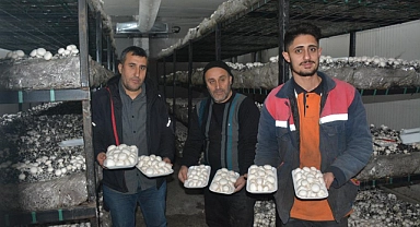 Kurduğu üretim tesisi ile bölgenin mantar ihtiyacını karşılıyor