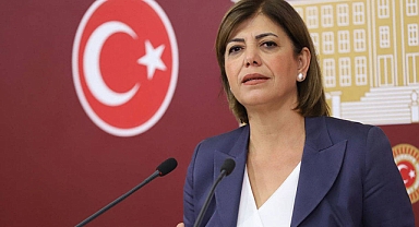 Meral Danış Beştaş Kimdir? Nerelidir? Kaç Yaşındadır?