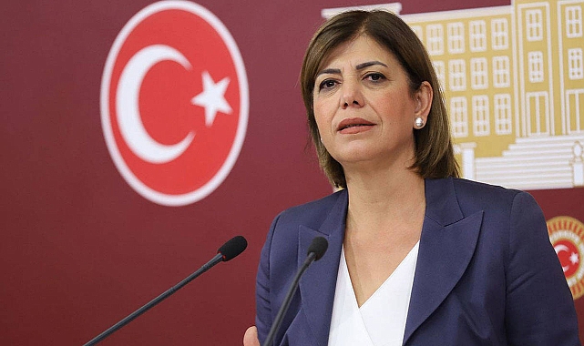 Meral Danış Beştaş Kimdir? Nerelidir? Kaç Yaşındadır?