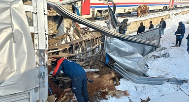 Muş'ta hayvan yüklü tıra tren çarptı: Ölü ve Yaralılar var