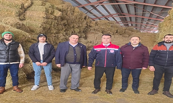 Muş'ta Manda ve Süt Sığır İşletmeleri İncelendi