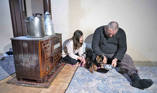 Muş'ta 3 ayaklı oğlak doğdu